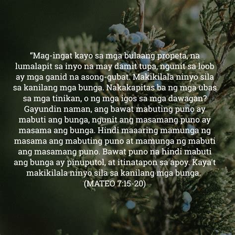 mapagpaimbabaw bible verse|Mateo 23:15 .